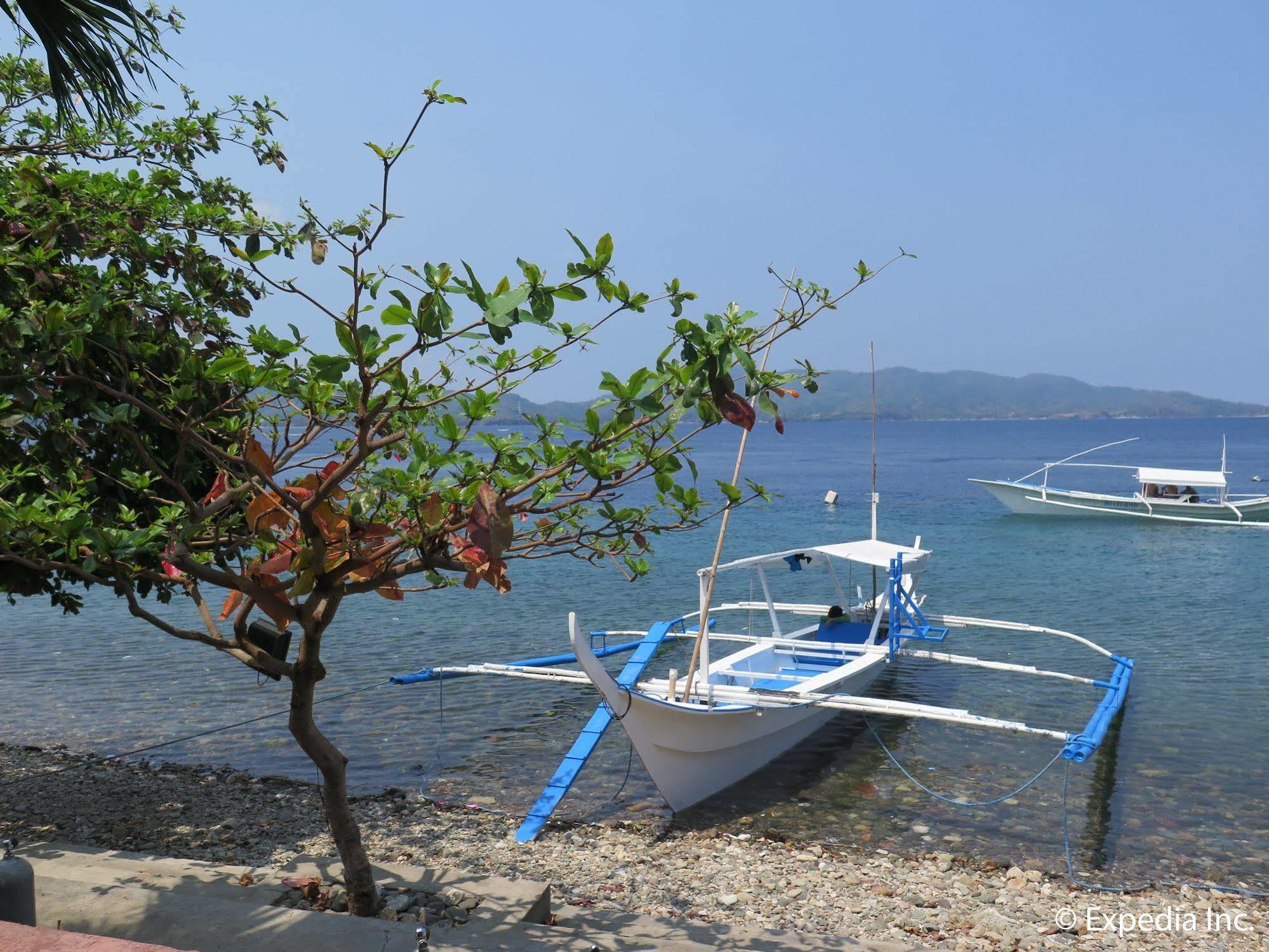 Planet Dive Otel Mabini  Dış mekan fotoğraf